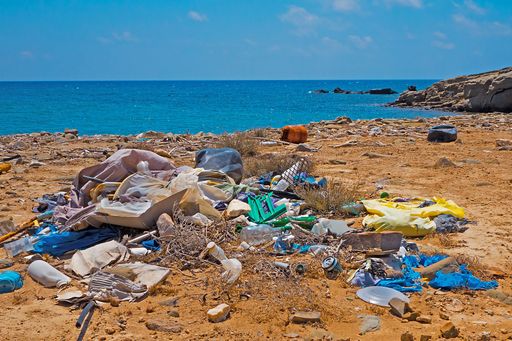 The Plastic Flood: An Ocean of Trash and Its Devastating Consequences