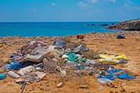 The Plastic Flood: An Ocean of Trash and Its Devastating Consequences